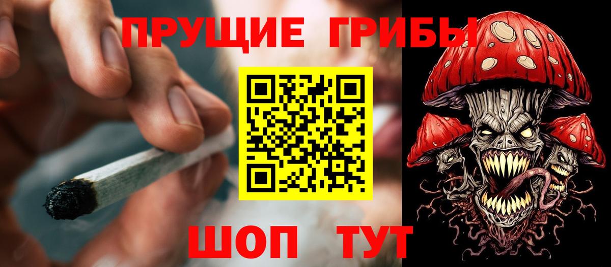 Курчалой  дарнет шоп  Вход с VPN  Галлюциногенные грибы Psilocybe 