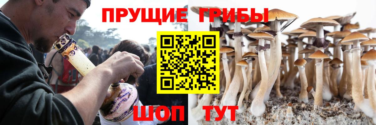 Псилоцибиновые грибы мухоморы Курчалой